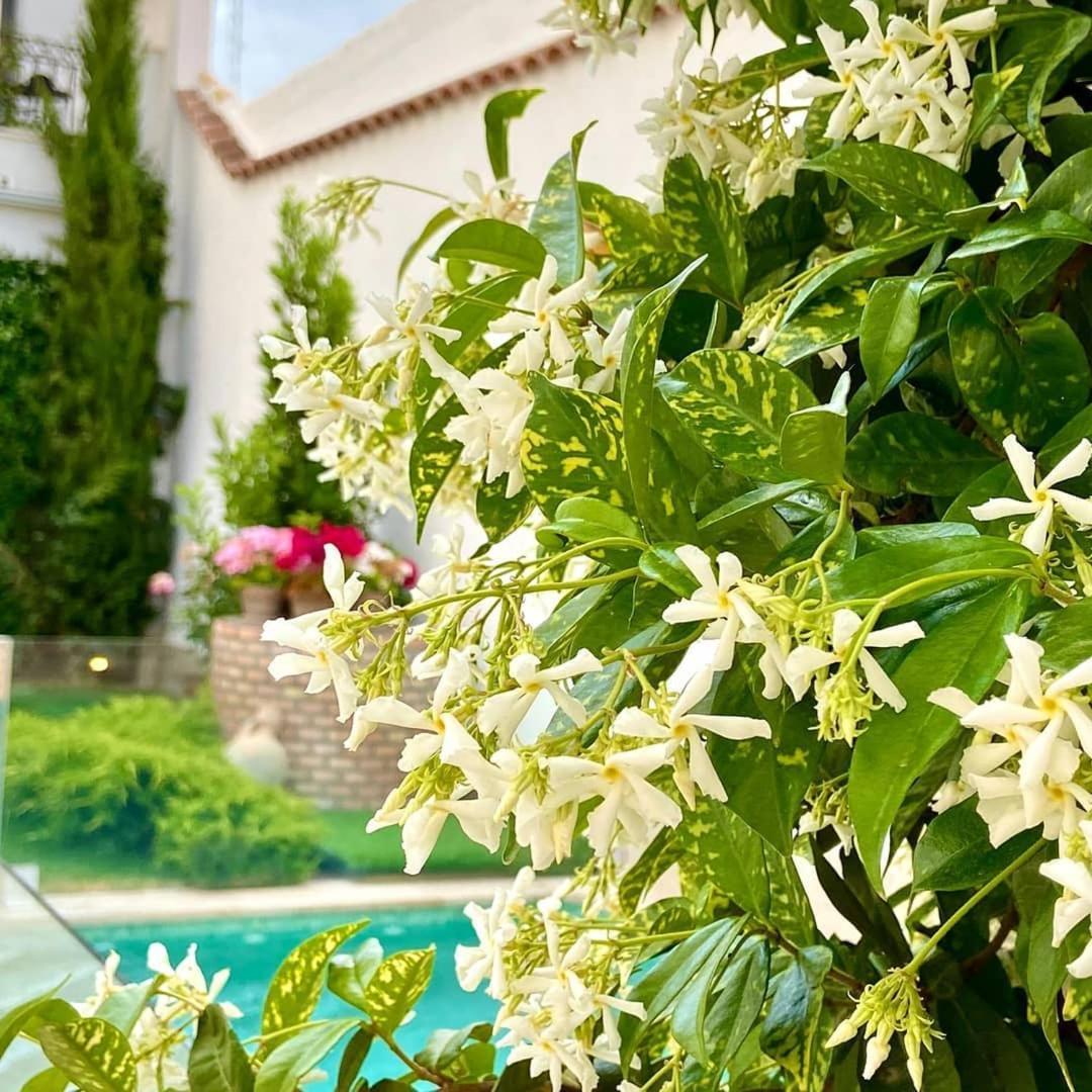 El Patio De Los Jazmines Boutique-House กอนซูเอกรา ภายนอก รูปภาพ